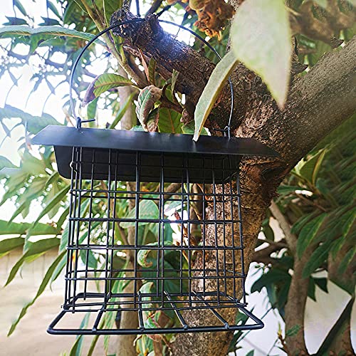 Qagazine Alimentador de pájaros resistente al óxido y a los rayos UV al aire libre malla de metal salvaje criador de aves silvestres pelado alimentador de cacahuete con alambre colgante