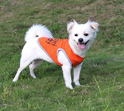 QiCheng & LYS Camiseta para Perros de 3 Piezas, Chaleco Deportivo para Perros, Suave y Transpirable Adecuado para Perros pequeños y medianos (3 Piezas Rosado/Azul/Naranja, XXL)