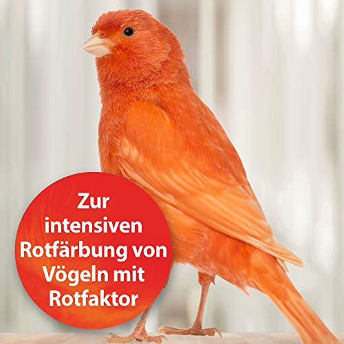 Quiko Intensiv - Complemento para pájaros con Factor Rojo