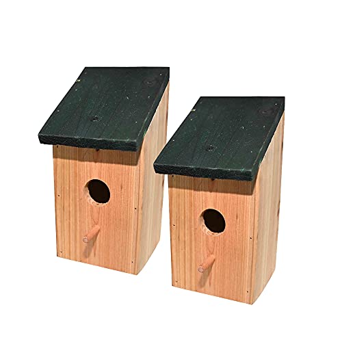 Ram© 2 x Caja de Madera para Nido de pájaros, casa de pájaros pequeños, pajaritos, pajaritos, pajaritos, gorrión, pajaritos
