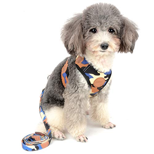 Ranphy - Arnés para perro pequeño, diseño de camuflaje sin tirar, acolchado, chaleco y correa, arnés de entrenamiento para caminar, ajustable para chihuahua y Yorkie