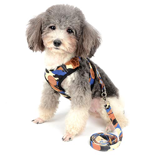 Ranphy - Arnés para perro pequeño, diseño de camuflaje sin tirar, acolchado, chaleco y correa, arnés de entrenamiento para caminar, ajustable para chihuahua y Yorkie