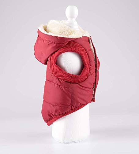 RC GearPro - Chaqueta de invierno acolchada de algodón para perros, gatos y cachorros pequeños, medianos y grandes - Chaleco con capucha