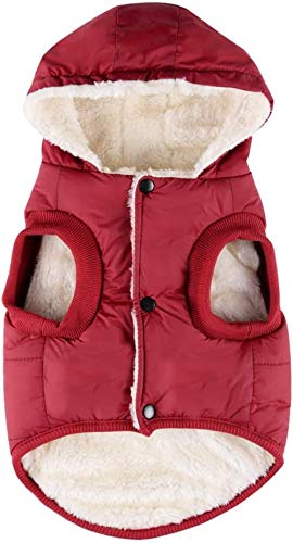 RC GearPro - Chaqueta de invierno acolchada de algodón para perros, gatos y cachorros pequeños, medianos y grandes - Chaleco con capucha
