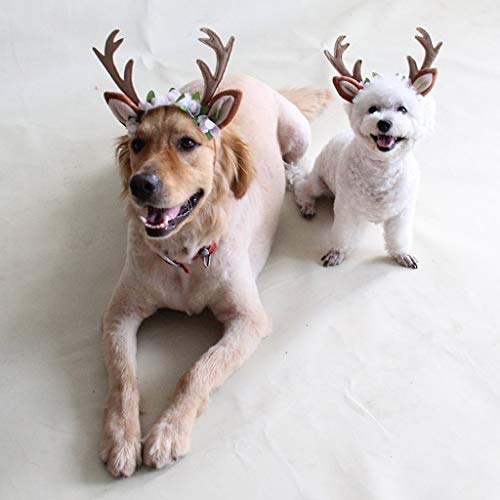 RC GearPro Diademas de Cornamenta Diadema de Cornamenta de Navidad Diseño de Banda elástica Perros Gatos Diadema de Cornamenta (S)