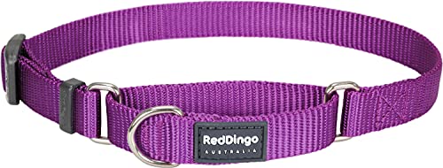 Red Dingo - Collar Tipo Martingale para Perro, diseño Liso