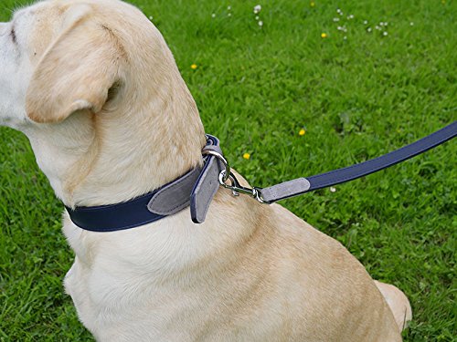 Rosewood Collar de Perro de Cuero de Lujo, 12-16 Pulgadas, Suave al Tacto Azul Marino