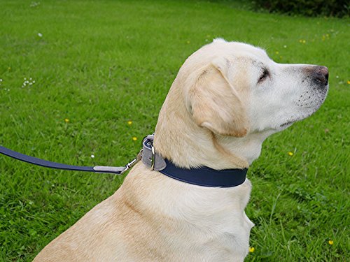 Rosewood Collar de Perro de Cuero de Lujo, 12-16 Pulgadas, Suave al Tacto Azul Marino