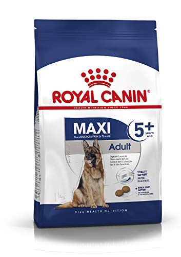 Royal Canin Comida para perros Maxi Adult +5 4 Kg