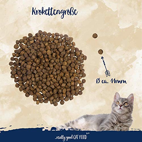 Sanabelle Senior | Comida seca para gatos mayores a partir de 8 años | 1 x 10 kg