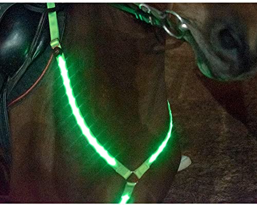 SanZHONGsd Arnés de pecho de caballo, arnés luminoso de pecho de caballo, tira de luz luminosa LED arnés de pecho de caballo correa de suministros ecuestres equipo de equitación