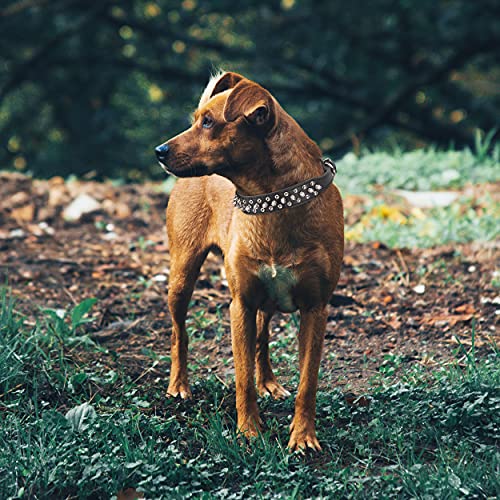 SEKAYISORE Collar de perro ajustable con tachuelas, de piel de microfibra con pinchos para cachorros, collar antimordeduras para perros pequeños, medianos y grandes, negro XS