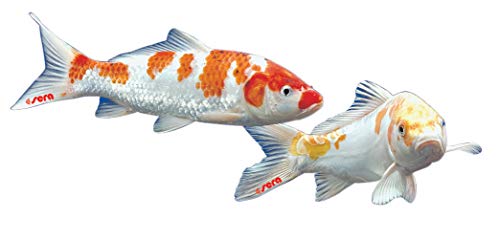 Sera - Alimento completo Koi Royal Mini (2 mm) para el desarrollo óptimo de peces Koi hasta 12 cm, con prebióticos para un mejor aprovechamiento del alimento, menor carga de agua y menos algas