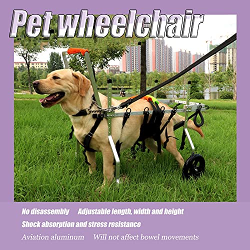 Silla de ruedas para perros de 4 ruedas, soporte de cuerpo completo ajustable DOGGIE / Carrito de cachorro, rehabilitación de la pata delantera, banda de vientre gratis para protección contra la colum