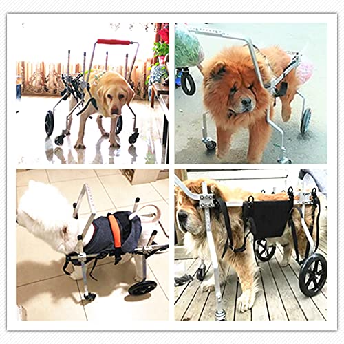 Silla de ruedas para perros de 4 ruedas, soporte de cuerpo completo ajustable DOGGIE / Carrito de cachorro, rehabilitación de la pata delantera, banda de vientre gratis para protección contra la colum