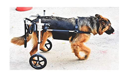 Silla De Ruedas para Perros Silla de ruedas para perros para grandes piernas traseras de perros medianos Arnés de movilidad mascota 2 ruedas Luz de aleación de aluminio ajustable para perros para perr