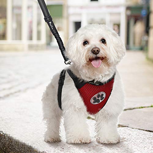 SlowTon Arnés para perros con cinturón de seguridad, doble malla de látex transpirable para todas las actividades diarias y deportivas de 4 patas