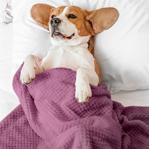 SLSON Paquete de 2 mantas para perros, lavables, suaves y cálidas, para fundas de cama, mantas para gatos, para sofá, coche, viajes, 70 x 100 cm, morado y azul oscuro
