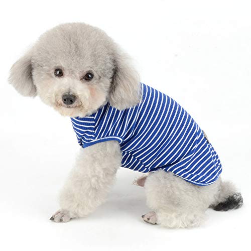 SMALLLEE_LUCKY_STORE Camiseta básica de algodón a Rayas para Perros pequeños, Gatos, Cachorro, sin Mangas, Camiseta Suave, Chihuahua, para Verano, Azul, pequeño