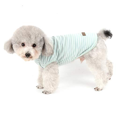 SMALLLEE_LUCKY_STORE Camiseta básica de algodón a Rayas para Perros pequeños, Gatos, Cachorro, sin Mangas, para Verano, Color Verde, pequeño