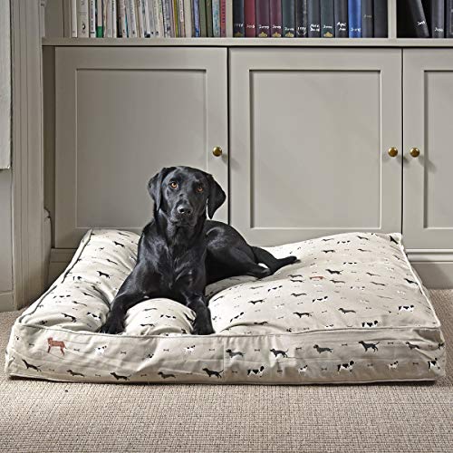Sophie Allport Woof - Colchón de cama para mascotas, tamaño grande