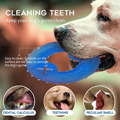 SPOFLY Juguete Mordedor para cachorros, 1 anillo de dentición y 1 hueso de dentición congelable perro masticable juguetes