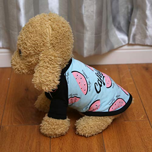 Sylar Ropa para Mascotas, Camiseta De Manga Corto para Perros Ropa Chaleco Verano Abrigo Disfraces Traje con Impresión De Frutas