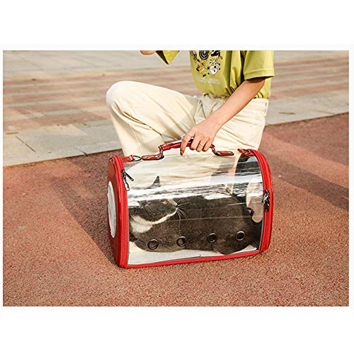 SZMYLED - Transportín para perros y gatos, diseño moderno con cápsulas, bolsa para animales domésticos, transparente, buena transpirabilidad (35*14*17 cm)