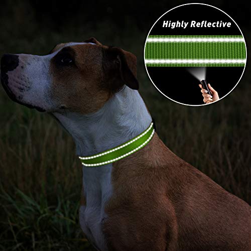 TagME Collar Perro Ajustable,Collar Nylon Reflectante,para Caminar Correr Entrenamiento,para Cachorro,Verde,1.0cm De Ancho