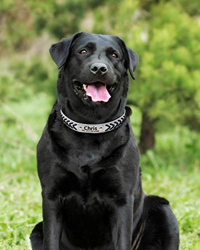 TagME Collares Perros Personalizados,Trenzado Collar Perro Cuero para Perros Pequeños,Placa de Identificación de Acero Inoxidable con Nombre y Número de Teléfono Grabados,Blanco XS 1 Unidad