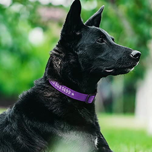 TagME Personalizado Mediano Collar Perro, Bordado Nombre y Número De Teléfono Reflectante Collar Perros, Morado M