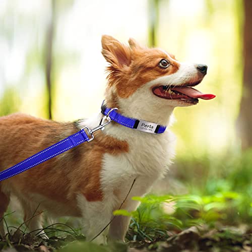 TagME Personalizado Nylon Collares para Perros, Ajustable Reflectante Collar Perro con Acolchados, Etiqueta de Acero Inoxidable Nombre Grabado y Número de Teléfono, Azul Marino