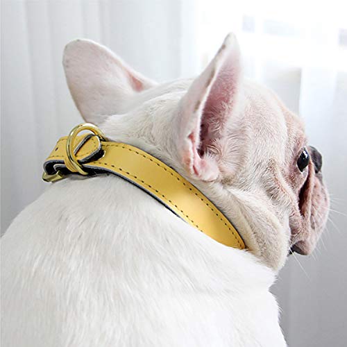 teemerryca Collar de perro mediano duradero de piel fuerte para mascotas, color morado, collares ajustables para perros de tamaño mediano de 30 a 39 cm