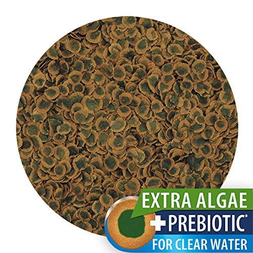 Tetra Pro Algae Multi-Crisps 10 L - Alimento completo con un valor nutritivo óptimo, concentrado de algas adicional favorece la resistencia de los peces