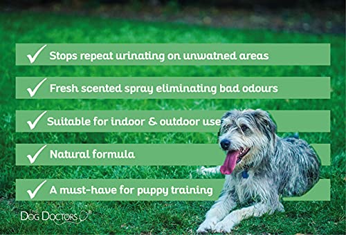 The Dog Doctors Tapón de orina con spray para disuasión – Ayuda a tu mascota a dejar de repetir marcas en interiores y exteriores – Fórmula 100% natural