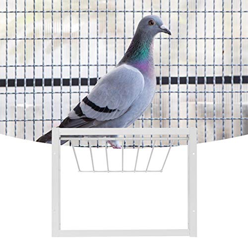Tiffasha Jaulas para pájaros - Puerta de Hierro en Forma de Jaula para pájaros de Alta Resistencia para Palomas y Loros(30 x 26cm)