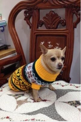 Tineer Pet Dog Sweater Ropa de Punto Copo de Nieve Pet Cat Coat, Jersey suéter Chaqueta Invierno Nieve Patrón Azulejos Ropa de Navidad (S, Amarillo)