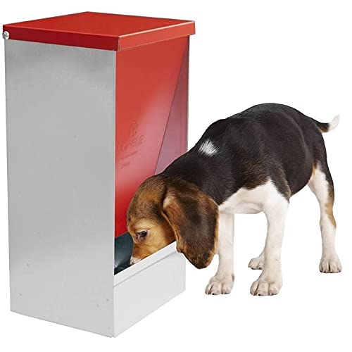 Tolva Comida Perros Smart Mediana con Tapa basculante 33 x 33 x 49 cm