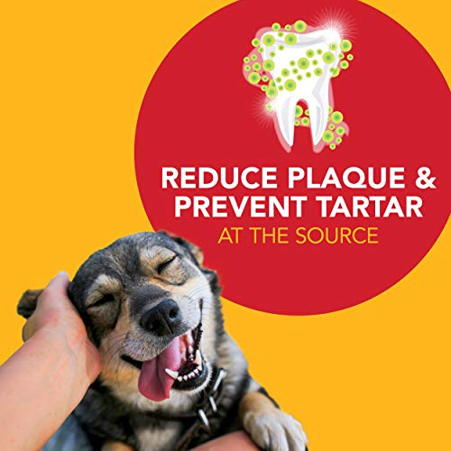 Toothpaste For Dogs by Petrodex