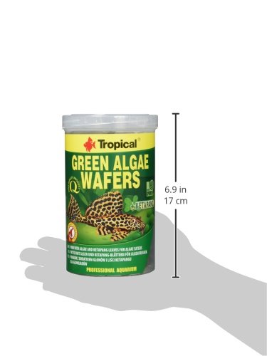 Tropical Green Algae wafers Siluro Chips, 1er Pack (1 x 1 l)