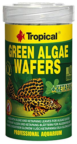 Tropical Green Algae wafers Siluro Chips, 1er Pack (1 x 1 l)