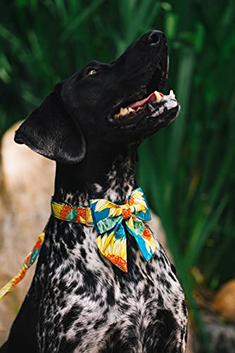 Unique style paws Collar de perro con estampado floral de primavera, collar de perro pajarita, cómodos collares ajustables para perros pequeños, cuello de 25 a 40 cm