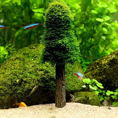 unknowns Aquarium Moss Decoration Fish Tank Plants Holder Creación de Sus Propios árboles Mini árboles Paisaje Forestal Cultivar Plantas acuáticas