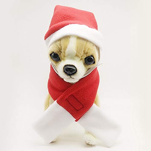 【Venta del día de la Madre】 Gorro de Papá Noel para Mascotas de cumpleaños, Sombreros para Mascotas, Gorro de Papá Noel para Cachorro para Perro Mascota(M)