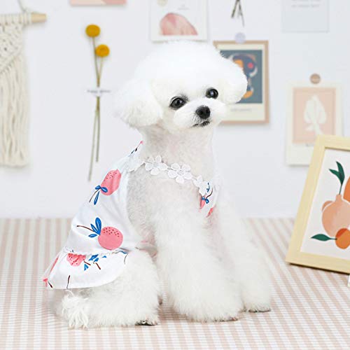 Vestido de Perro Falda de Cachorro Ropa de Perro Vestidos de Princesa Tutú Tirantes Falda Vestido de Algodón de Boda para Niña de Perro Pequeño XS,A-R