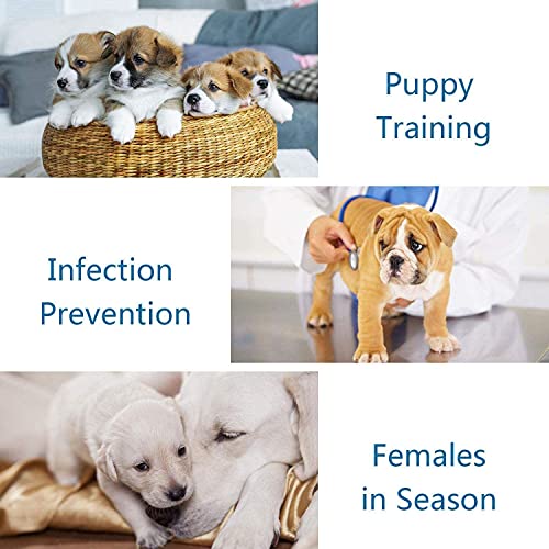 Vidoelettronica® Pañales para perros de Estados Unidos y de EEUU para entrenamiento para cachorros para hembras absorbentes para animales domésticos, paquete de 10 unidades, talla M 43 x 29 cm