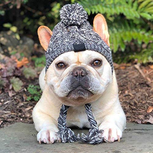 Wanghuaner Sombrero de perro caliente del invierno a prueba de viento de la bola hinchada del animal doméstico Headgear francés Bulldog Headgear