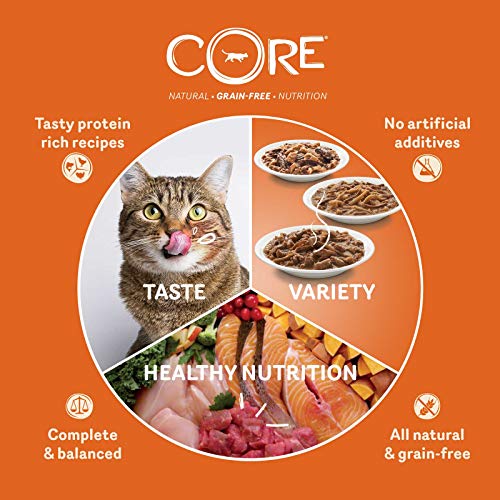 Wellness CORE - Cortes de Tienda de campaña para Gatos, sin Grano Mojado, gallina y salmón en Grano Salvaje, 85 g, 24 Unidades