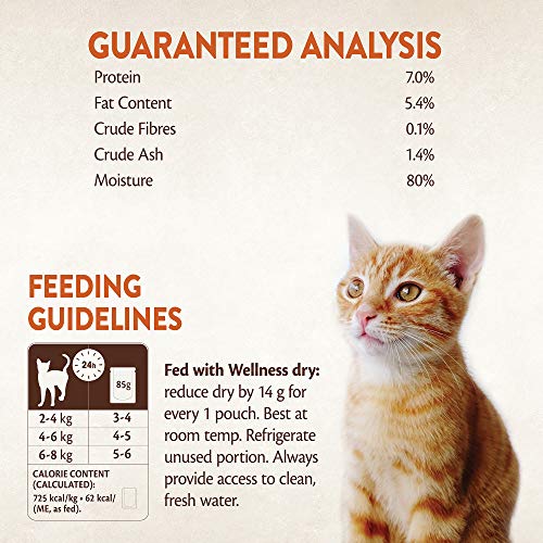 Wellness CORE - Cortes de Tienda de campaña para Gatos, sin Grano Mojado, gallina y salmón en Grano Salvaje, 85 g, 24 Unidades