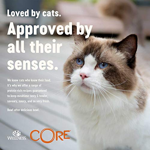 Wellness CORE Signature Selects - Juego de 24 Platos para Gatos sin Grano húmedo, sin triturado, con Forma de Pollo, 79 g